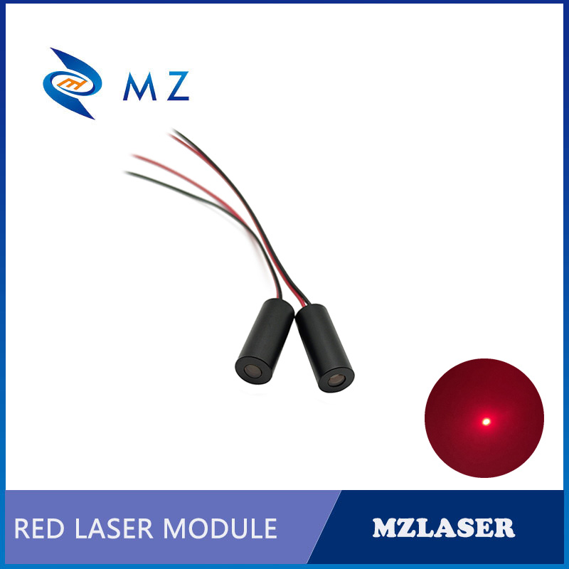 Modulo Laser a Diodo Compatto  - Industrial Grade Laser Pointer recensione e prezzo