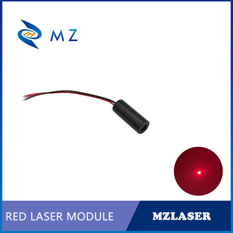 Modulo Laser a Diodo Compatto  - Industrial Grade Laser Pointer recensione e prezzo
