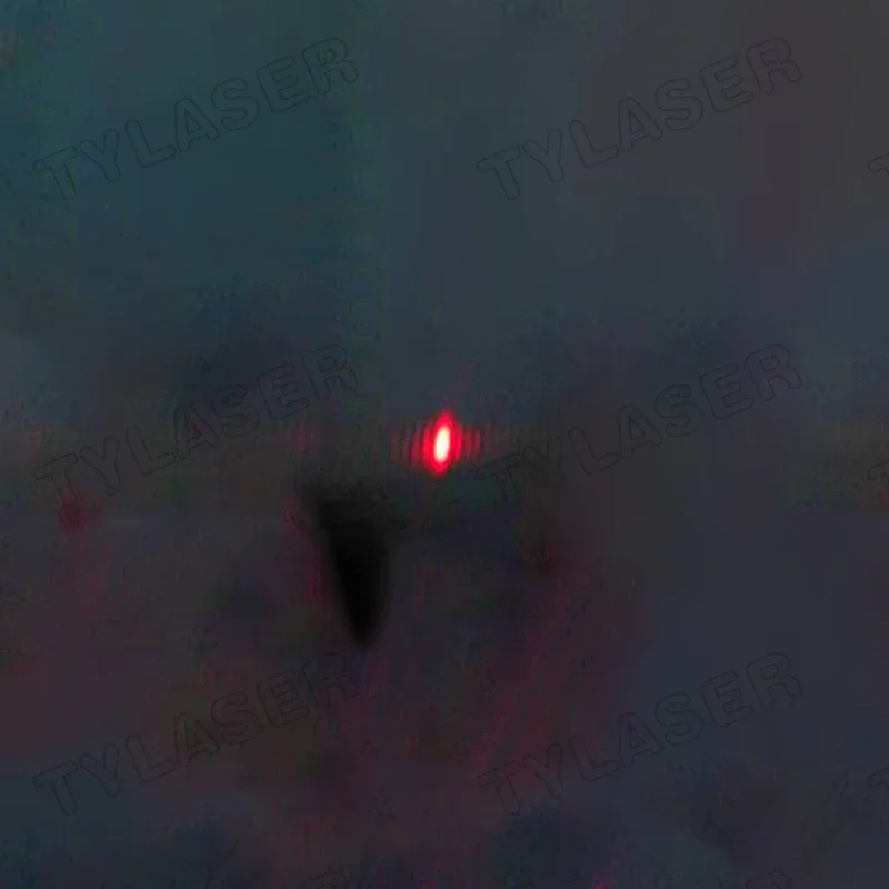 Modulo Laser Esterno TTL 8mm 6 - Industrial Grade Laser Pointer recensione e prezzo